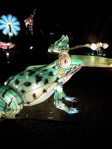 lumiere de chine parc longchamp